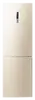 RL-59 GYBVB